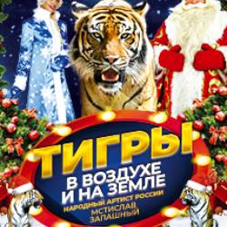 Тигры в воздухе и на земле Пенза