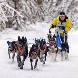 Гонка на собачьих упряжках «Русский Север – 2018»