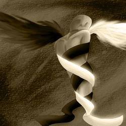 Встреча «О добре и зле», Шали