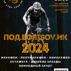 ПОД.BORISOV.ИК 2024